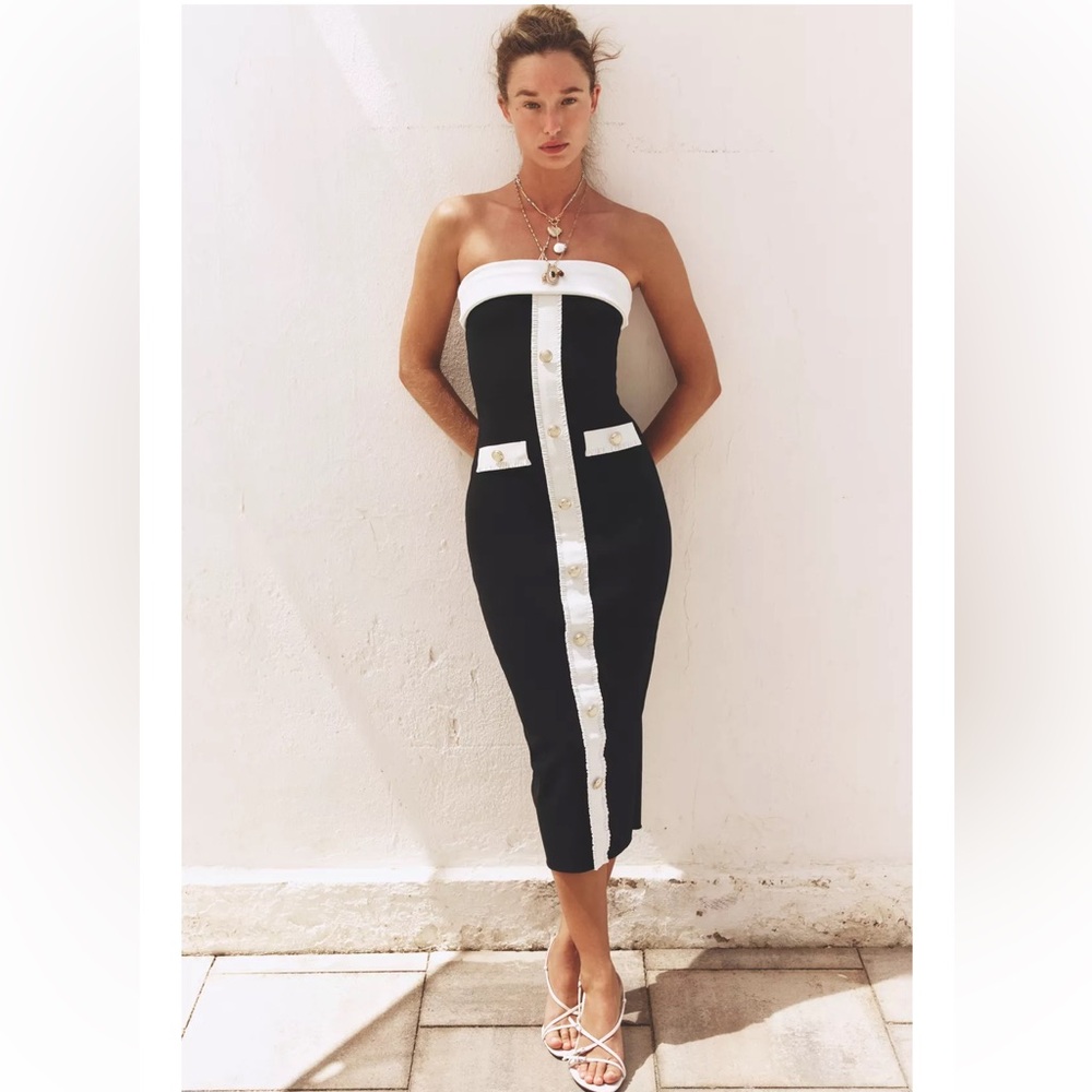 Zara bloggers dress